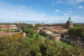 Toulouse - Panoramic View